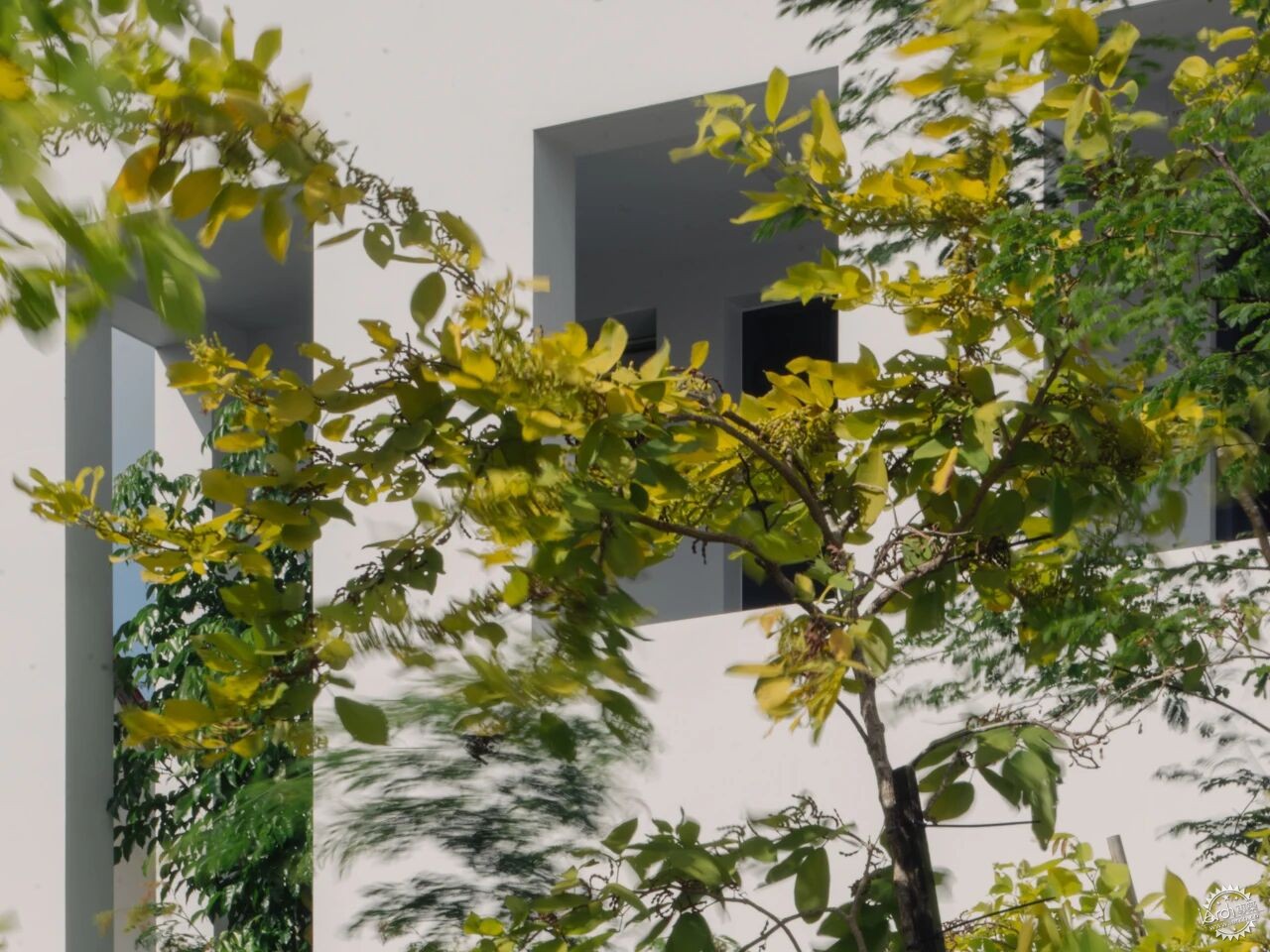 住进热带立方体！新加坡三代同堂的秘密花园之家第11张图片