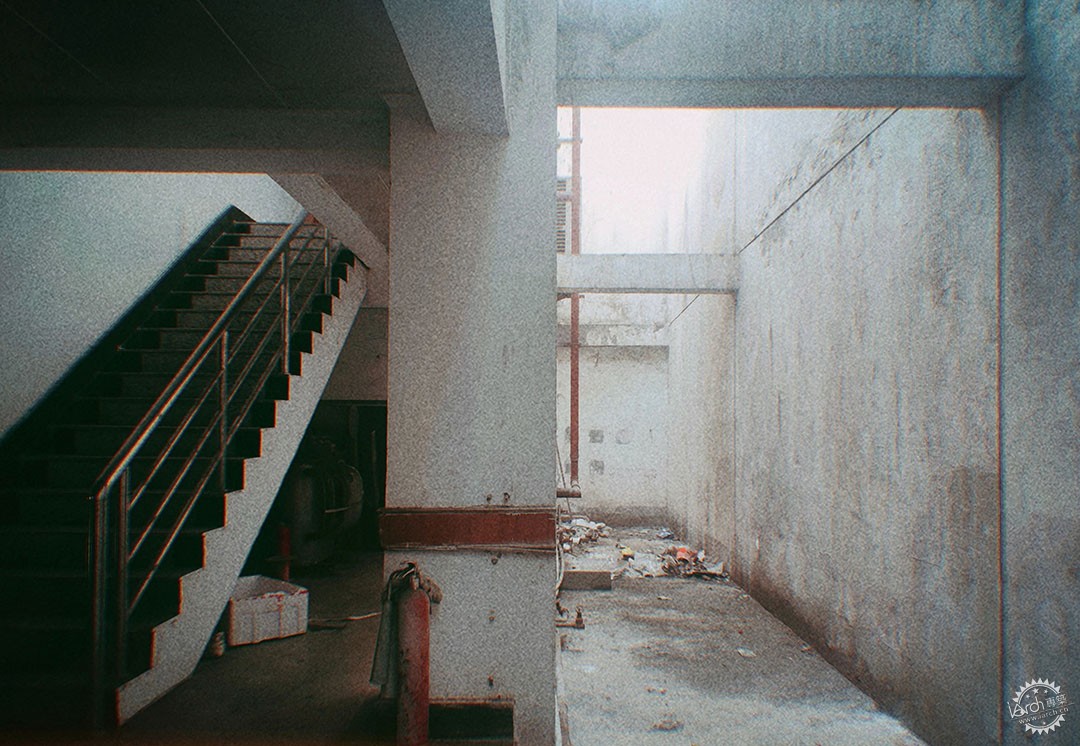 洋河体育场：一处没有观众，却鲜花盛开的遗忘之地第32张图片
