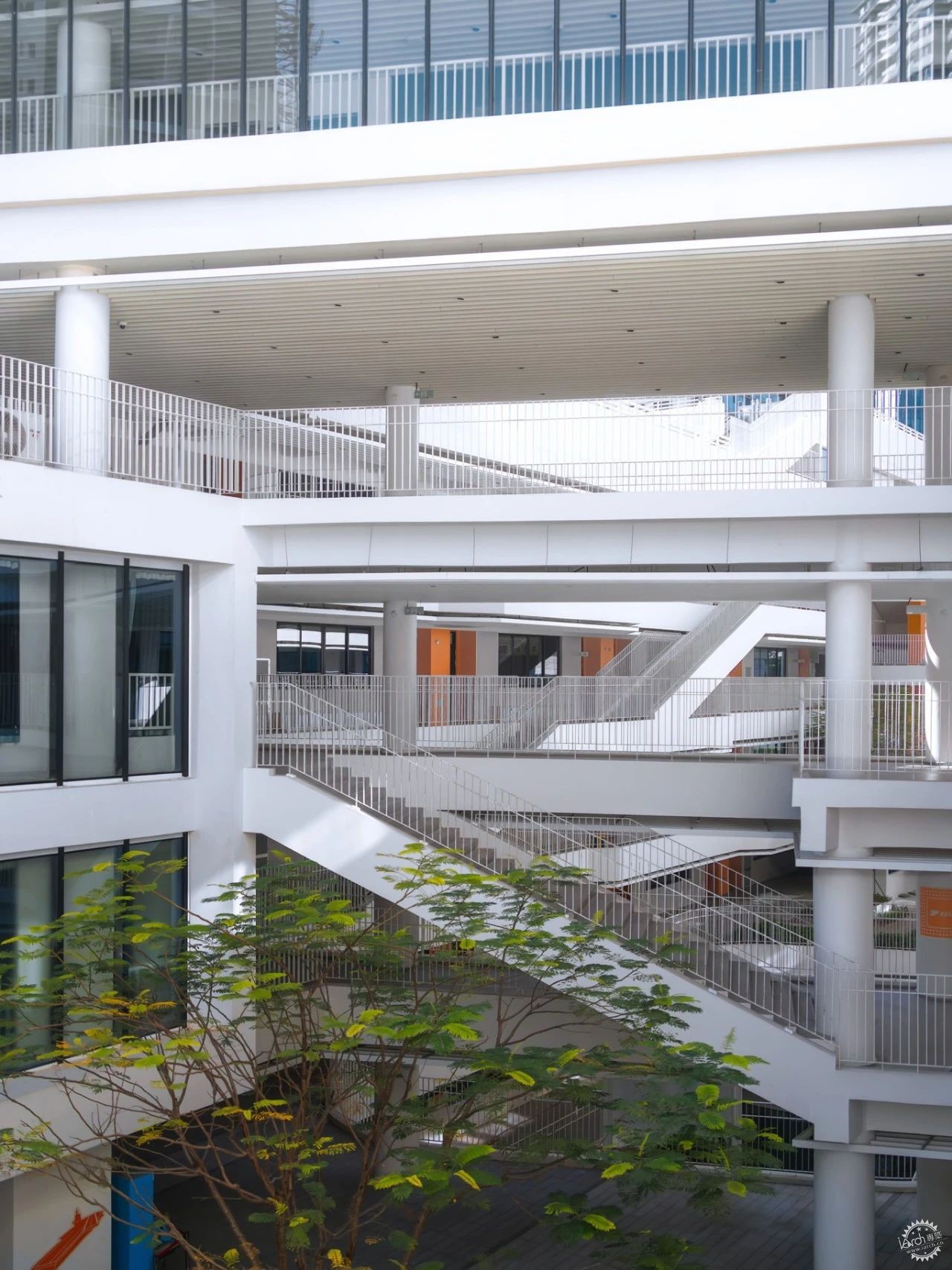 深圳梅园实验学校：于城市山林中开启未来第4张图片