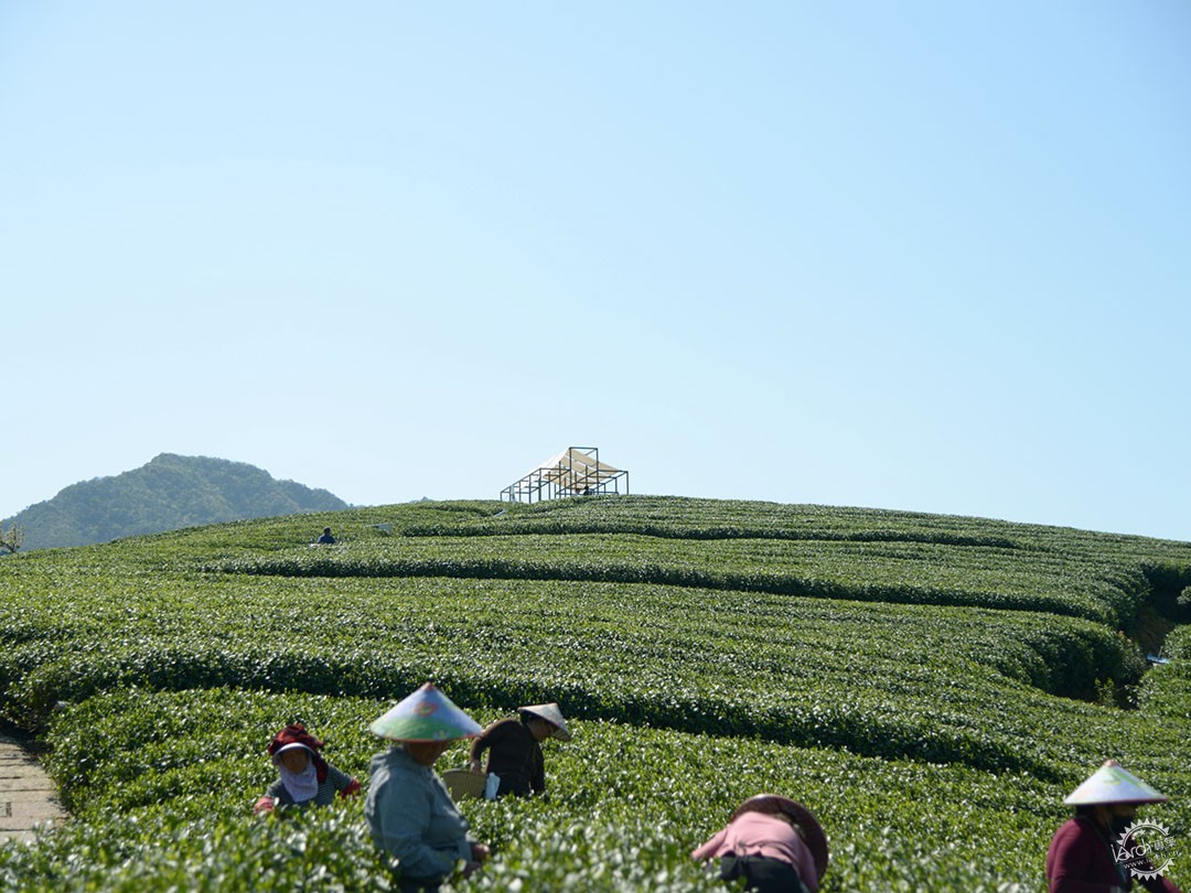 茶山浮亭 | 杭州长埭村景观茶亭第2张图片