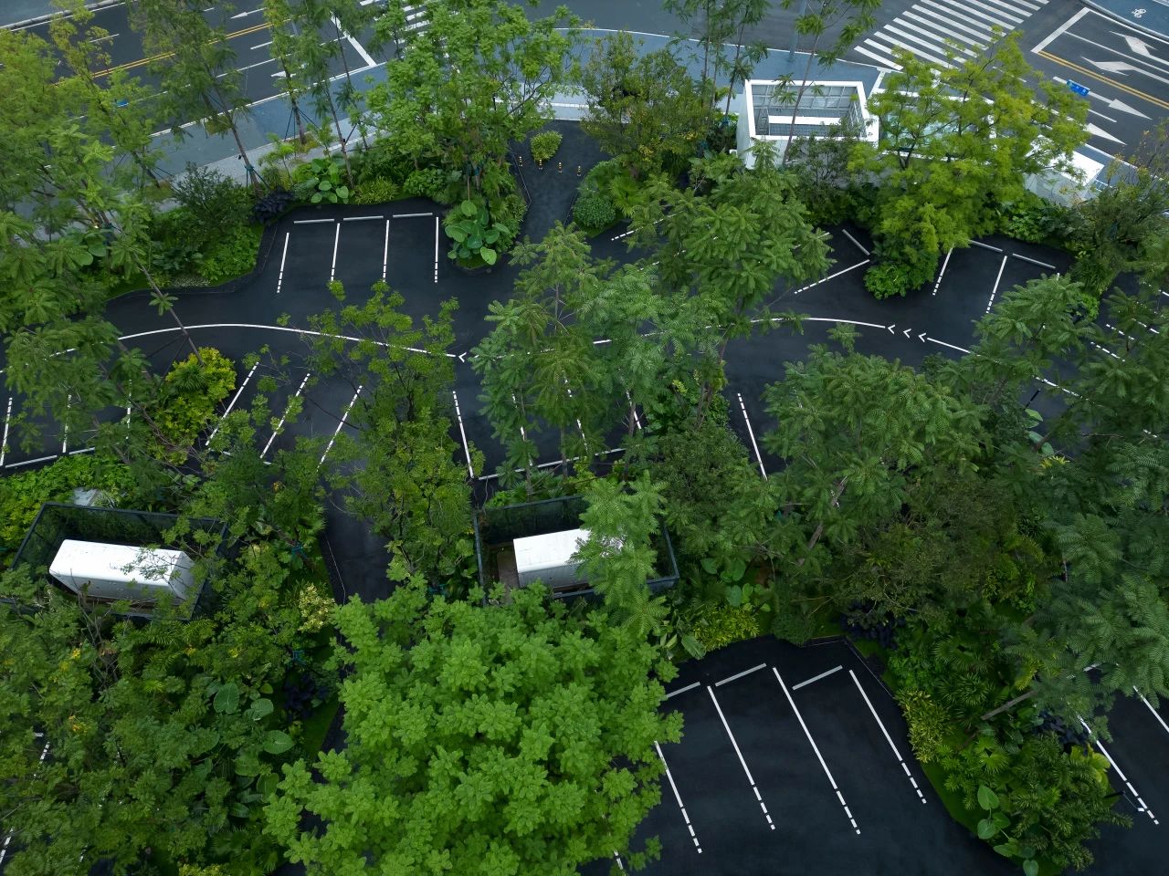 ONE PARK | G11第15张图片