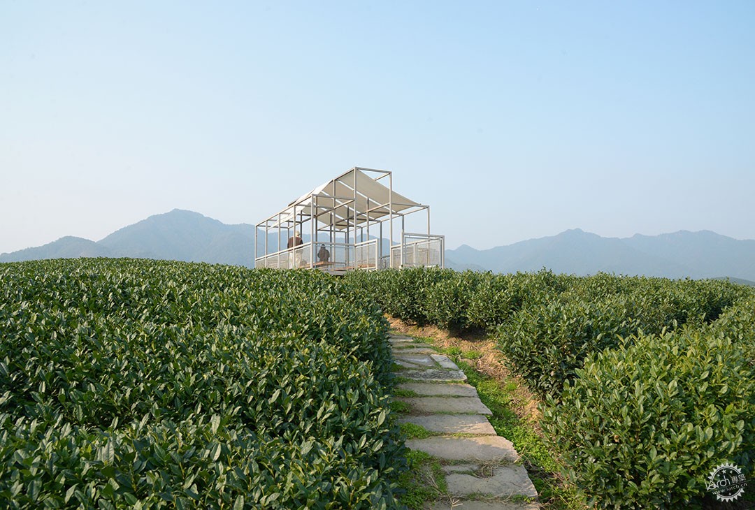 茶山浮亭 | 杭州长埭村景观茶亭第16张图片