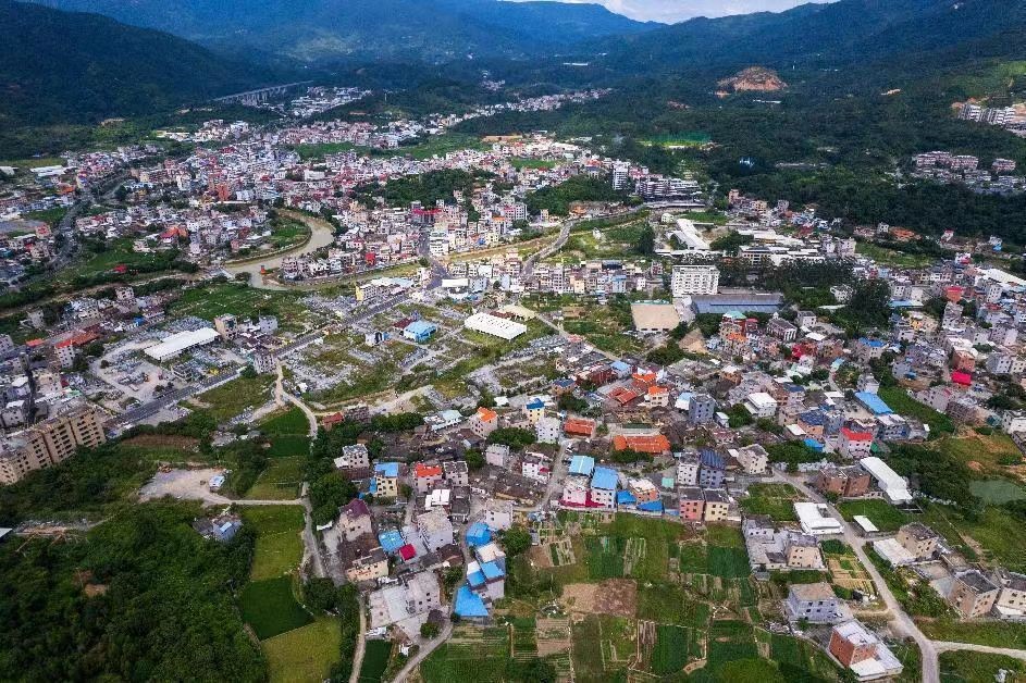 回归村落 记住乡愁丨漳州市长泰区 枋洋镇林溪村 回归村落 记住乡愁丨漳州市长泰区 枋洋镇林溪村