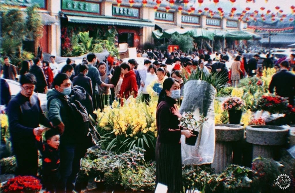 洋河体育场：一处没有观众，却鲜花盛开的遗忘之地第9张图片