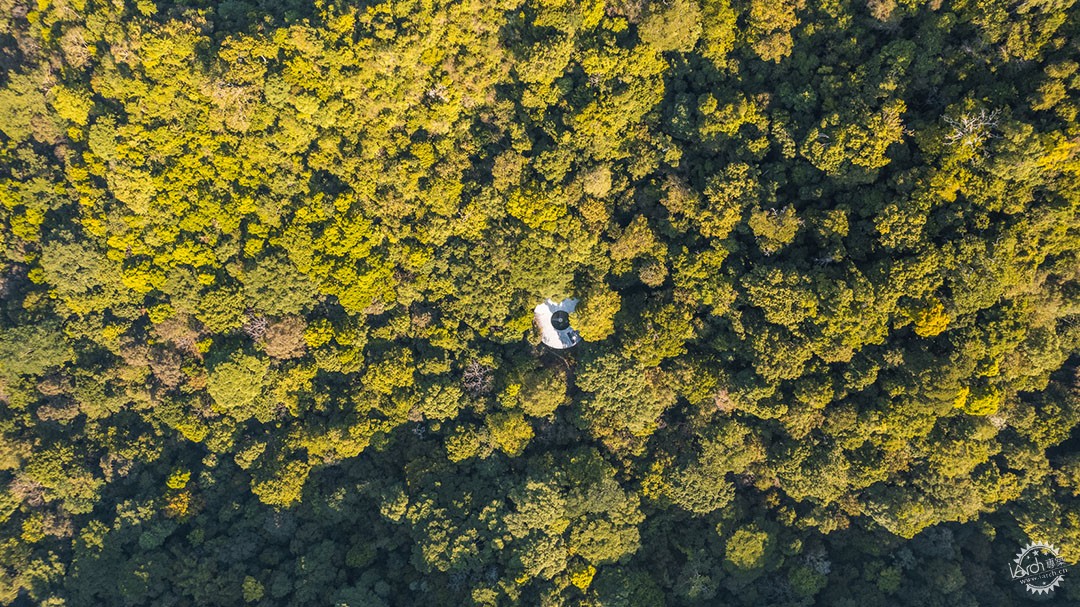 极限挑战下的奇迹，架空树顶屋的建造冒险第23张图片
