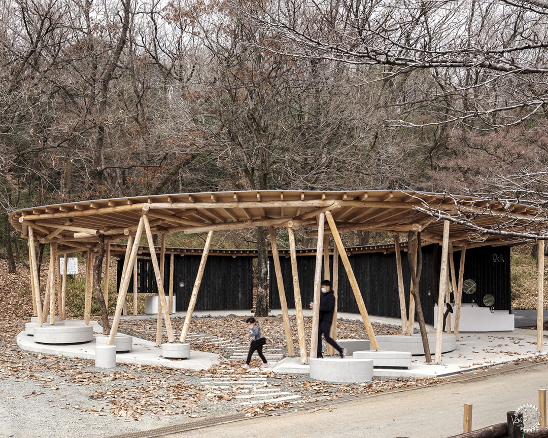 厕所革命——如何让男女“方便”更方便？第23张图片