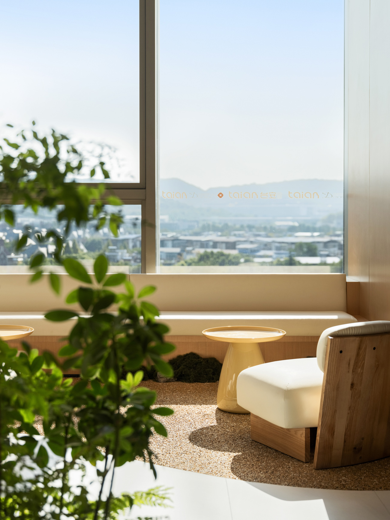 1736253294750793.jpg 阳光下的木质沙发茶几Wooden sofa and coffee table in the sun摄影版权:ingallery.jpg