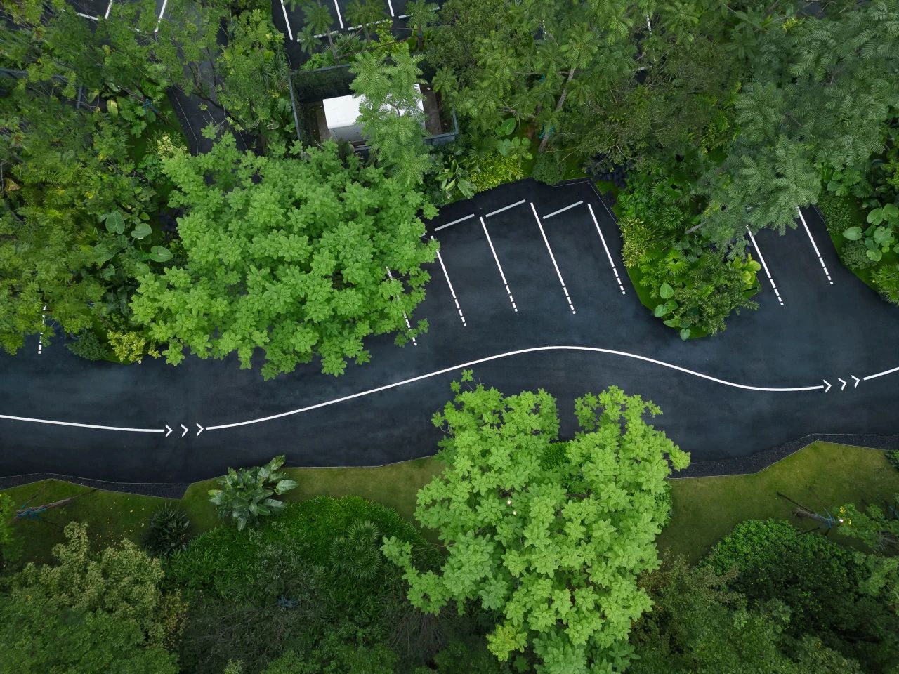 ONE PARK | G11第18张图片