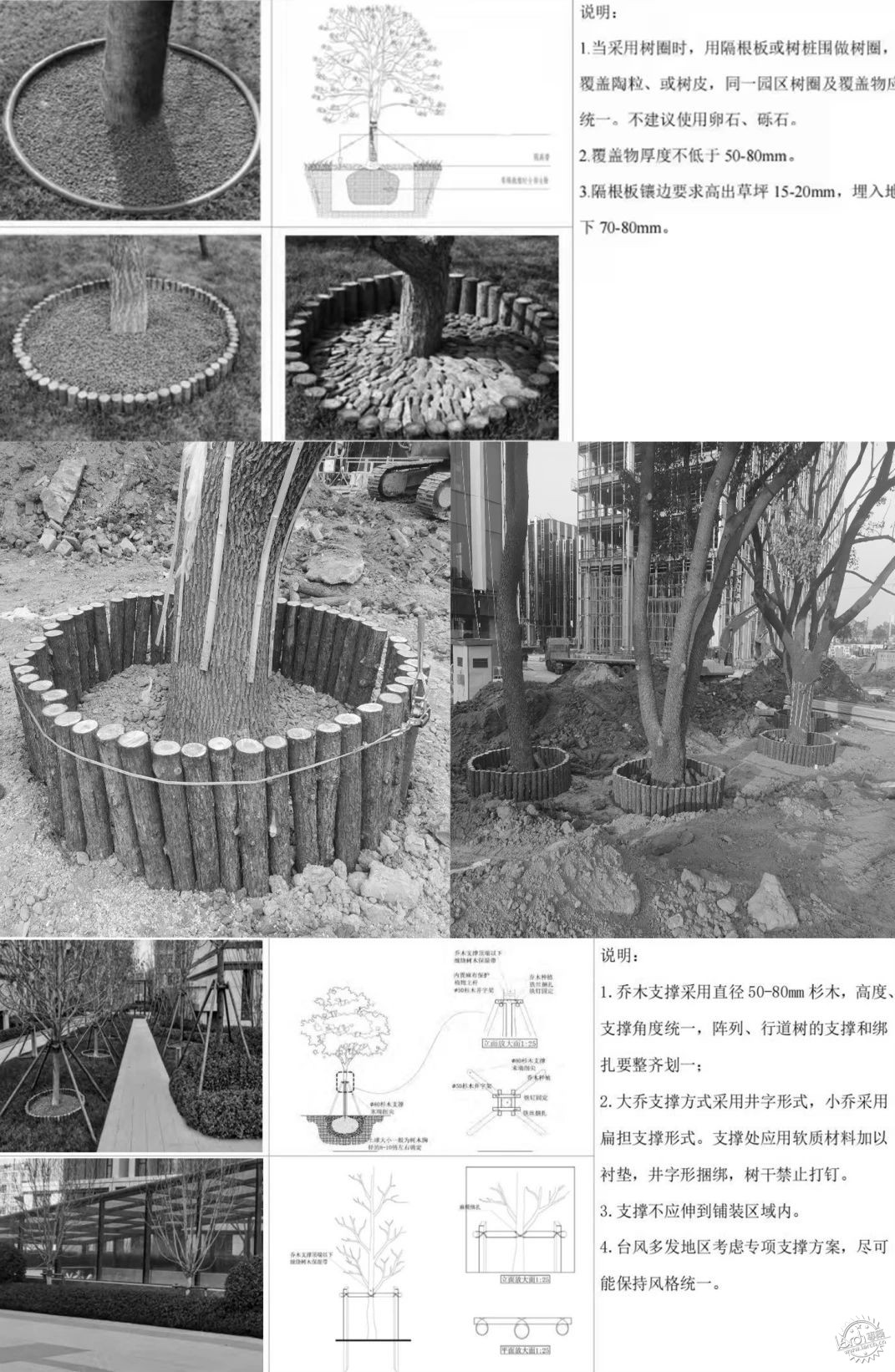 嘉定远香湖中央活力区商办景观第49张图片
