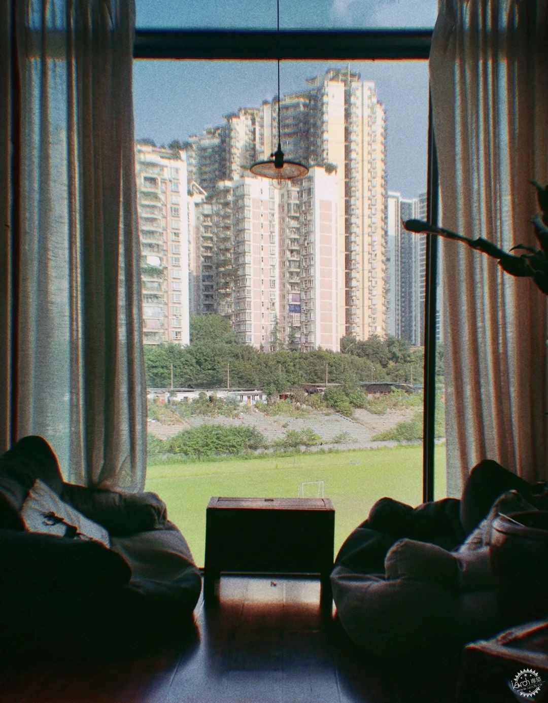 洋河体育场：一处没有观众，却鲜花盛开的遗忘之地第28张图片