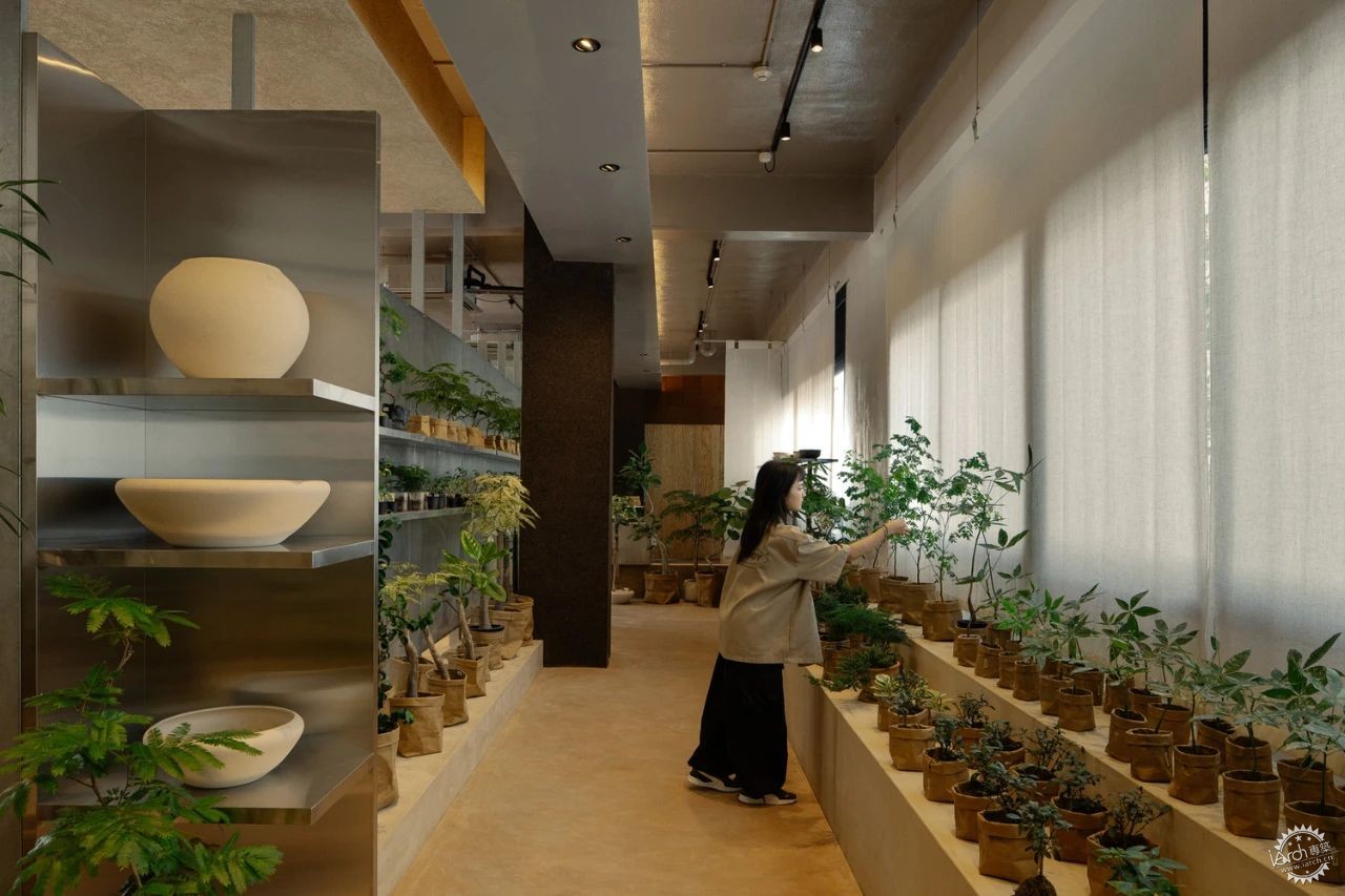 新加坡这家植物零售店反传统设计，用昏暗的照明营造沉浸式的购物体验！第21张图片