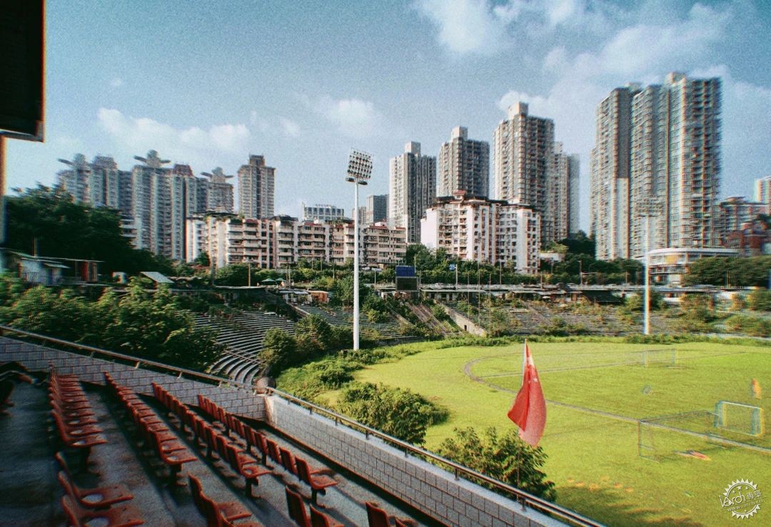 洋河体育场：一处没有观众，却鲜花盛开的遗忘之地第36张图片