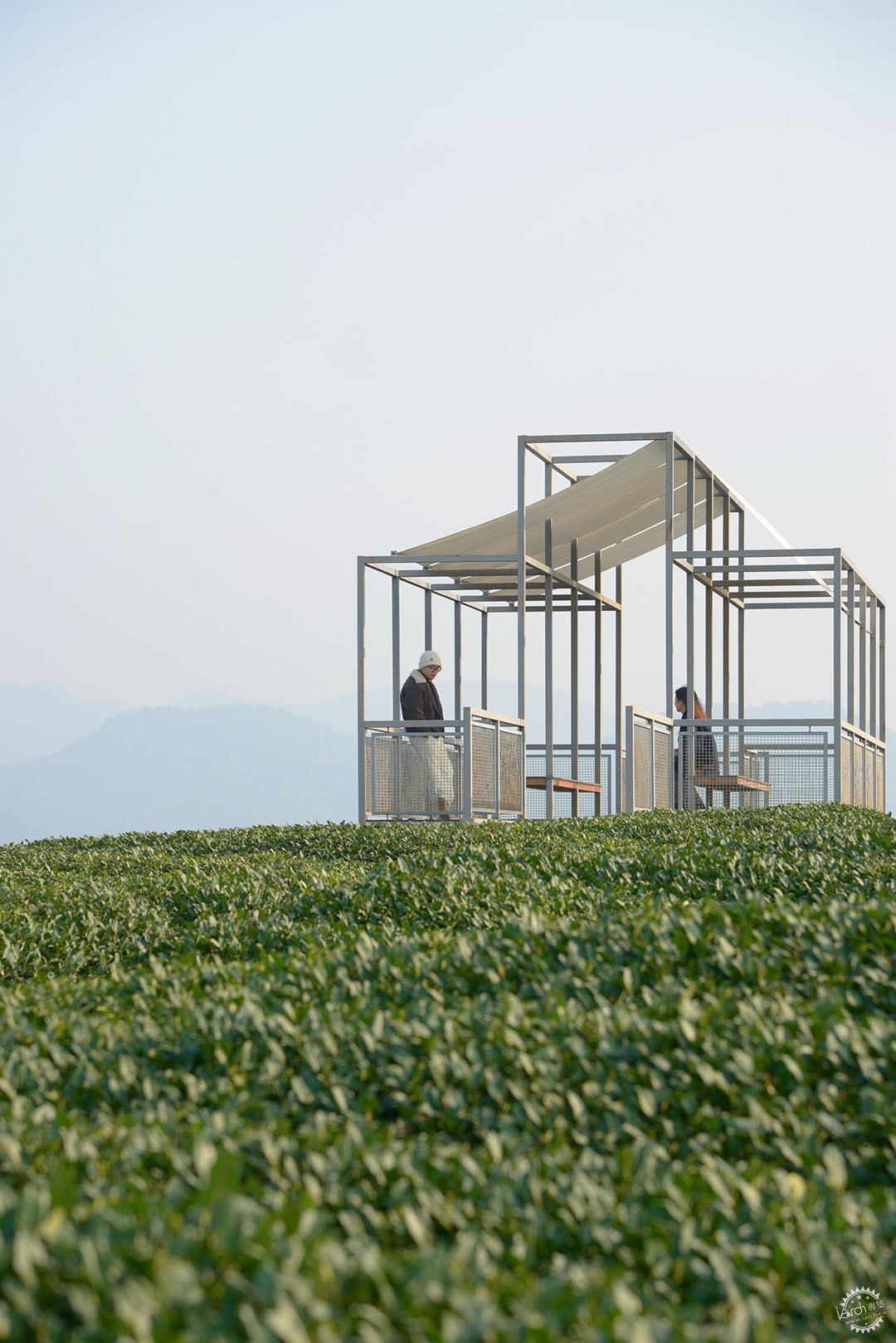 茶山浮亭 | 杭州长埭村景观茶亭第17张图片