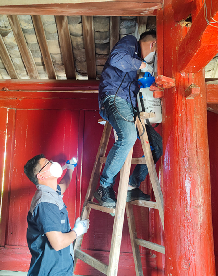0云梦:筑牢古建筑“防蚁墙”2.png