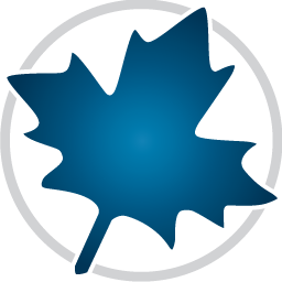 Maple 2020中文破解版，附带安装破解教程亲测可用！
