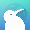 kiwibrowser浏览器最新版 v132.0.6，附详细安装教程！