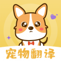 奇奥拉猫语 v3.4.8，官方下载！