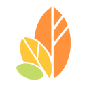 自律树最新版 v1.40，附真实用户使用体验！