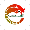天地泰宁app v2.37.7官方版，附真实用户使用体验！