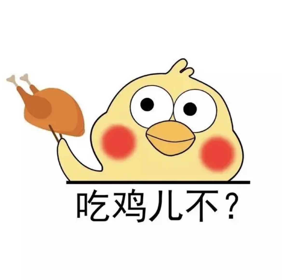 小黄鸡直装 v5.2.1官方版下载