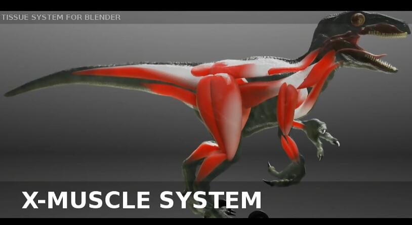 肌肉系统模拟工具 X-Muscle System 4网盘下载