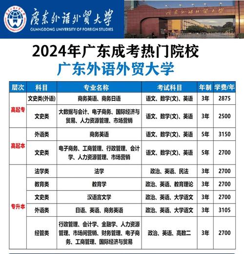 2024成人高考专科英语备考指南:含金量如何? 2024成人高考专科英语备考指南:含金量如何? - 腿腿教学网