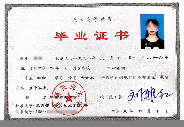 成考康复专业毕业后的就业前景及毕业证书的作用 - 腿腿教学网