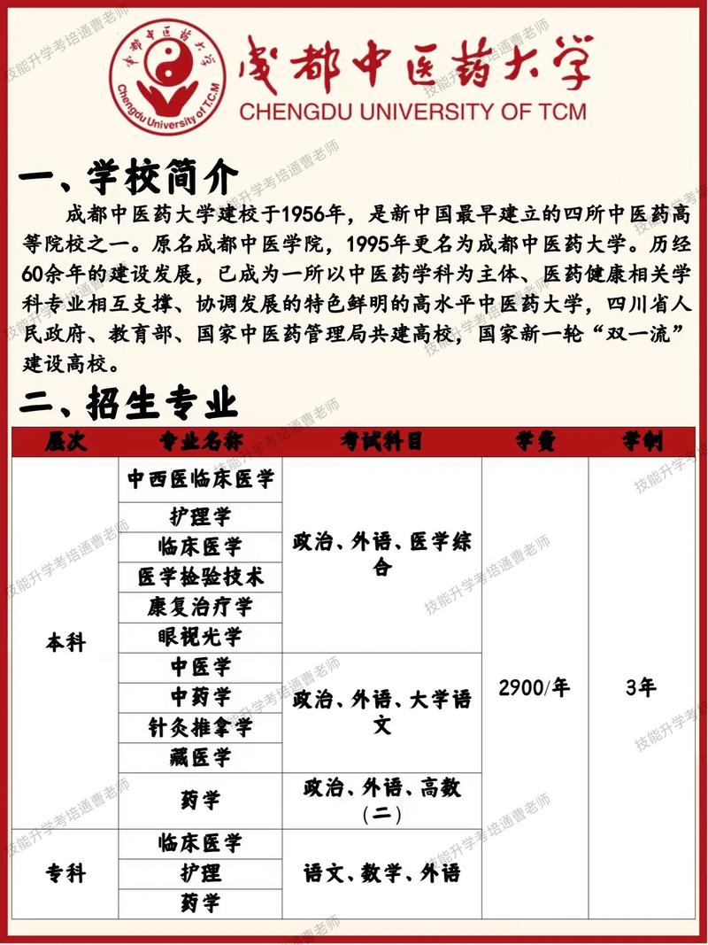 成人高考中医专业就业前景如何?中医专业有哪些优势? 成人高考中医专业就业前景如何?中医专业有哪些优势? - 腿腿教学网