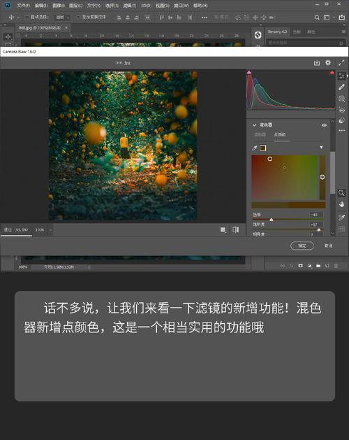 优秀 RAW 处理工具 Adobe Camera Raw 17.1 + Mac 中文多语免费版，附真实使用经验总结！ - 腿腿教学网