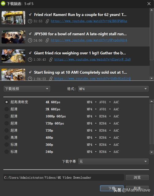 网络视频下载工具4KVideoDownloaderPlus1.10.4，官方最新版！ - 腿腿教学网