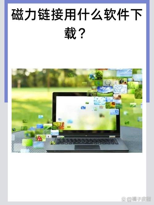 BT种子下载工具FreeDownloadManager6.25.0.6016，压缩包下载！ - 腿腿教学网