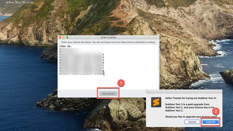 免费文本代码编辑器TextEditorPro31.2.0，安装了的用户都说好！ - 腿腿教学网