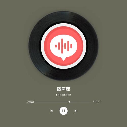 Vidma Recorderapp官方最新版，官方正版好用！ - 腿腿教学网
