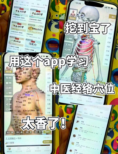 中医经络穴位流注app官方最新版,手机安卓版下载! 中医经络穴位流注app官方最新版,手机安卓版下载! - 腿腿教学网