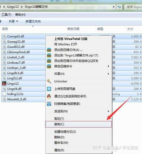 Lingo 12中文破解版,附带安装破解教程亲测可用! Lingo 12中文破解版,附带安装破解教程亲测可用! - 腿腿教学网
