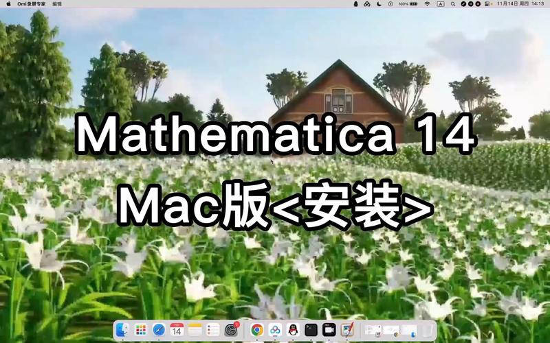 Mathematica 14中文破解版，附带安装破解教程亲测可用！ - 腿腿教学网