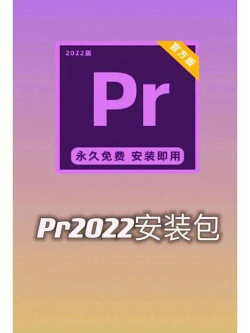 Pr Elements2022中文破解版，附带安装破解教程亲测可用！ - 腿腿教学网