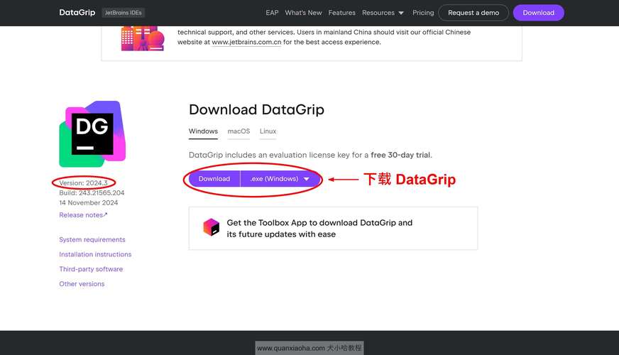 DataGrip2023中文破解版,附带安装破解教程亲测可用! DataGrip2023中文破解版,附带安装破解教程亲测可用! - 腿腿教学网