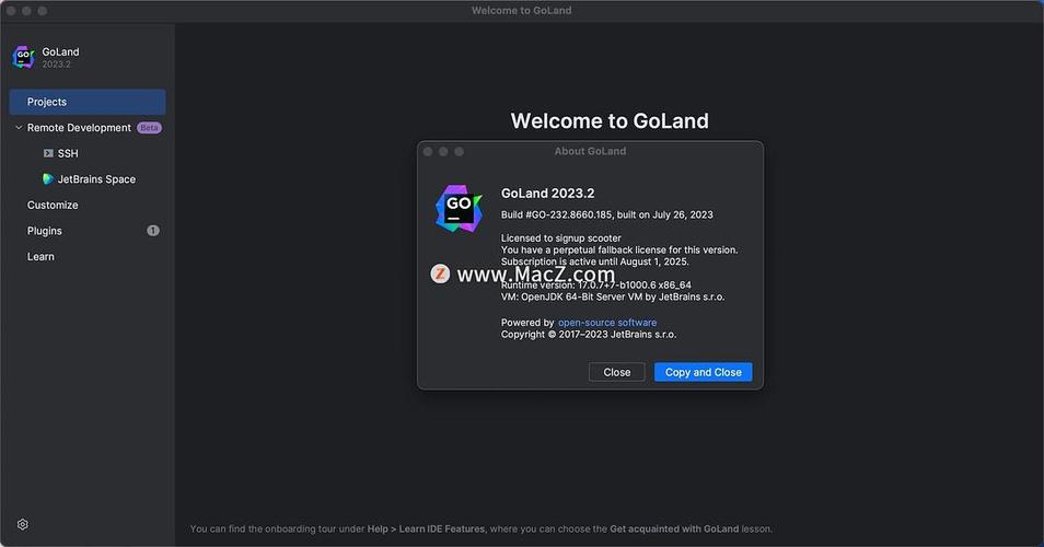 goland2023中文破解版，附带安装破解教程亲测可用！ - 腿腿教学网