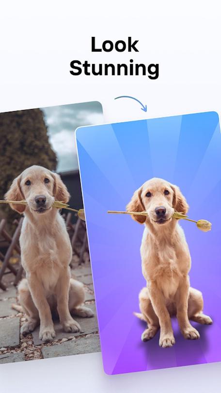 photoroom免登录版 v1.0.0，附真实用户使用体验！ - 腿腿教学网