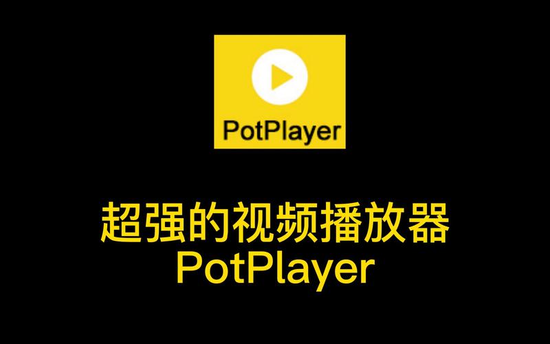 多媒体播放器 PotPlayerSetup64_20250312，最新版下载安装！ - 腿腿教学网