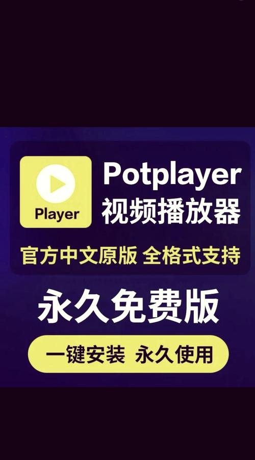 多媒体播放器 PotPlayerSetup64_20250312，最新版下载安装！ - 腿腿教学网