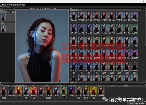 Tiffen Dfx 4.0v13汉化，PS调色专用数字胶片滤镜插件，中文免费版下载！ - 腿腿教学网