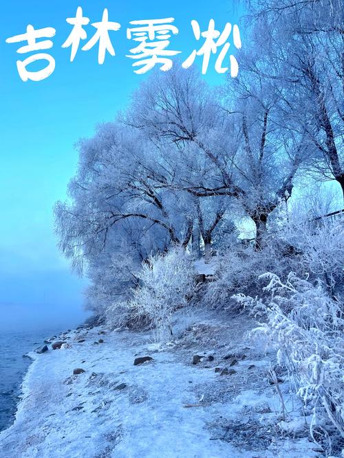 雾凇融媒app v5.3.1.150,百度网盘下载! 雾凇融媒app v5.3.1.150,百度网盘下载! - 腿腿教学网