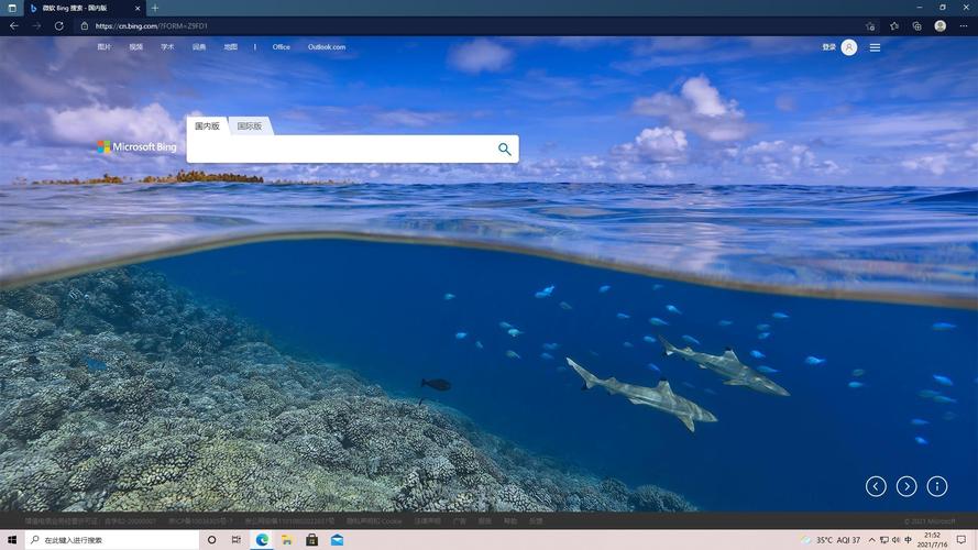 微软bing国际版 v30.8.21,官方最新版! 微软bing国际版 v30.8.21,官方最新版! - 腿腿教学网