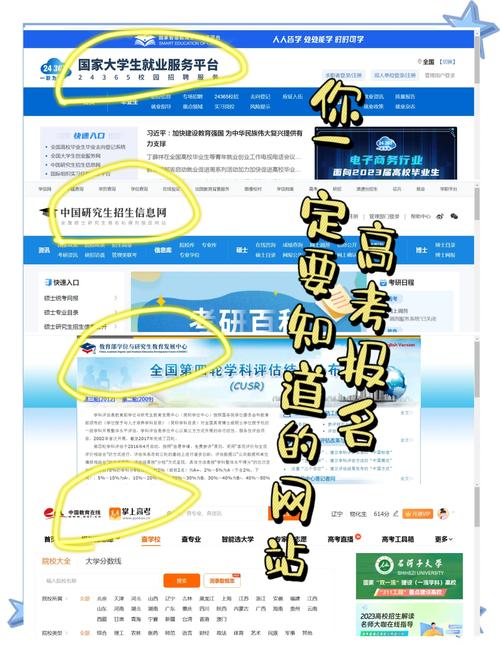网易高考智愿官网版 v2.0.3，百度网盘下载！ - 腿腿教学网