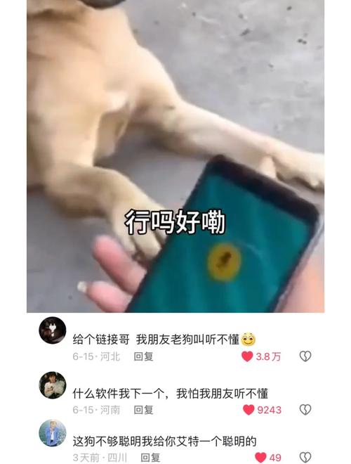 狗语翻译器免费版 v2.9,最新版下载安装! 狗语翻译器免费版 v2.9,最新版下载安装! - 腿腿教学网