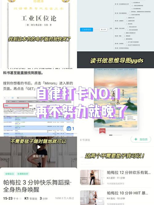 自律养成客户端 v25.04.1，附详细安装教程！ - 腿腿教学网