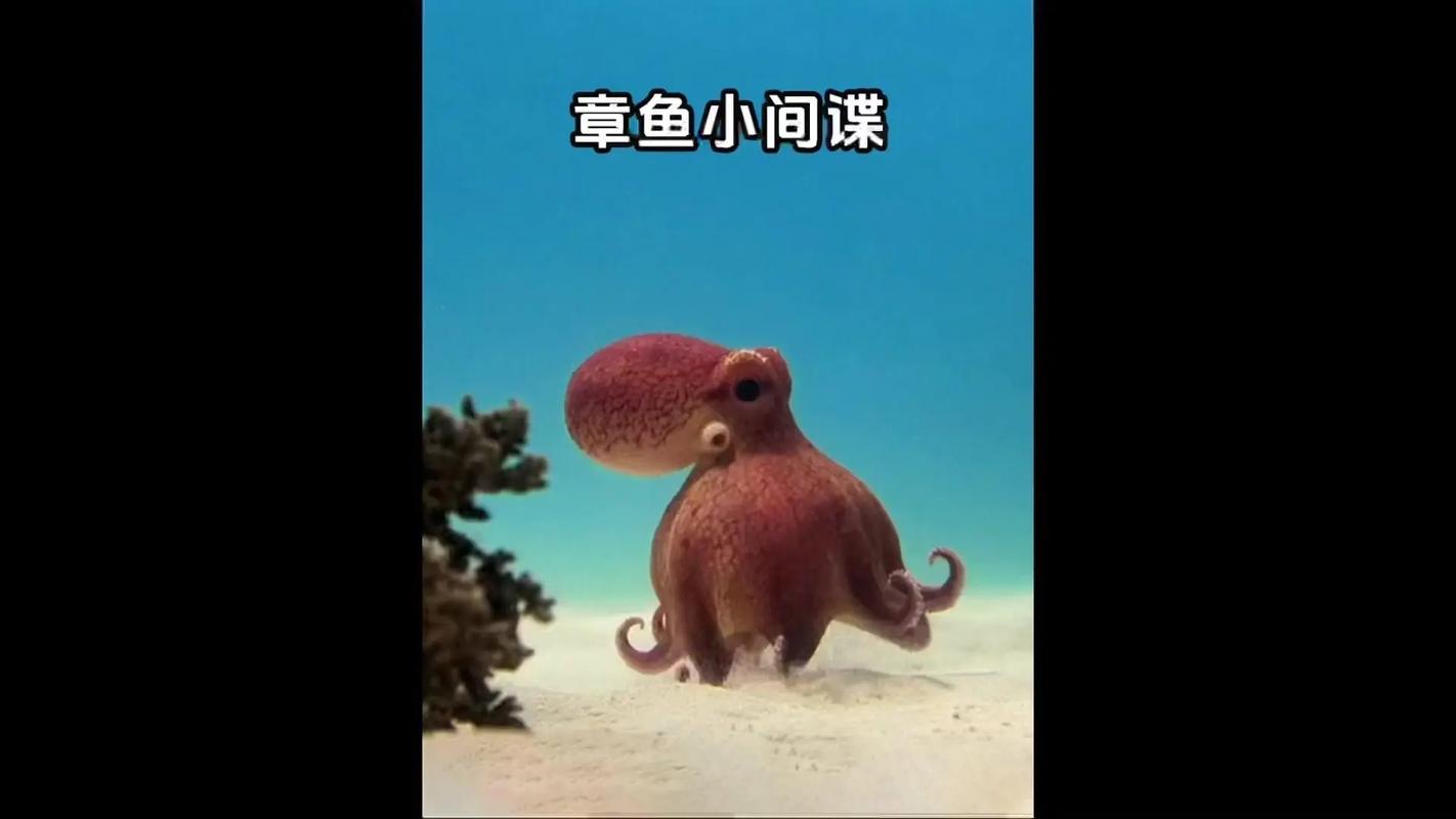 章鱼隐藏最新版 v2.4.24,百度网盘下载! 章鱼隐藏最新版 v2.4.24,百度网盘下载! - 腿腿教学网