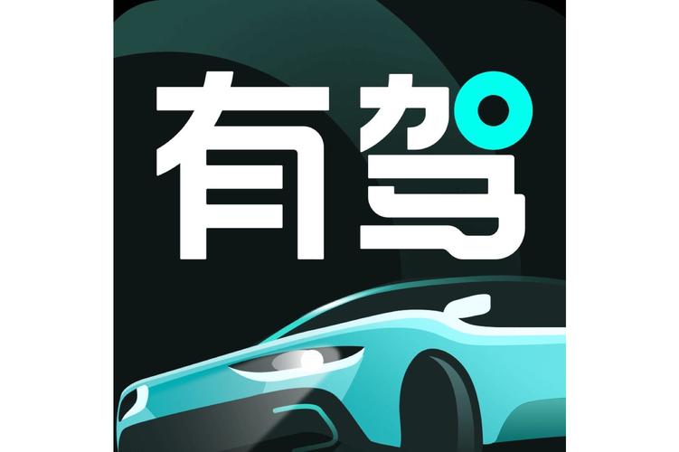 有驾最新版 v2.34.0,安装了的用户都说好! 有驾最新版 v2.34.0,安装了的用户都说好! - 腿腿教学网